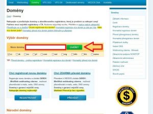 Registrace domény a objednání webhostingu
