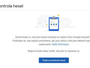 Správce hesel Google + export z Chrome